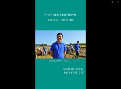 成參率高、預(yù)防水銹病:吉林蛟河市前進(jìn)鄉(xiāng)、白山市撫松縣萬(wàn)良鎮(zhèn)（2023.9.16）