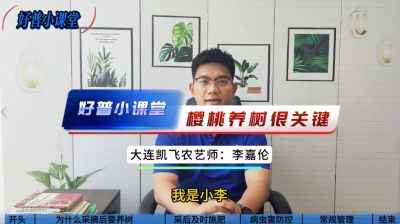 好普小課堂 ：櫻桃養樹很關鍵